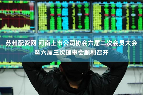 苏州配资网 河南上市公司协会六届二次会员大会暨六届三次理事会顺利召开