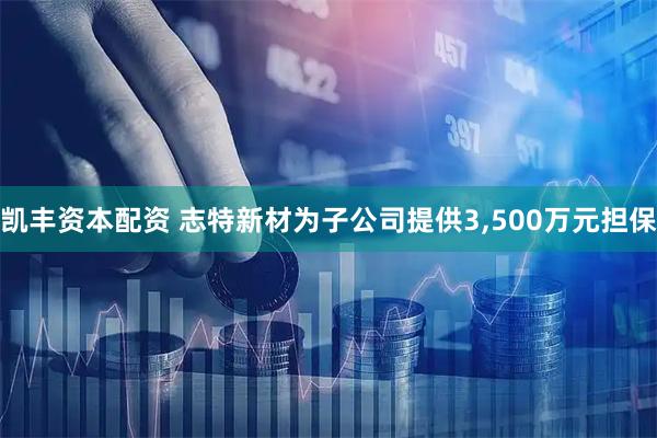 凯丰资本配资 志特新材为子公司提供3,500万元担保