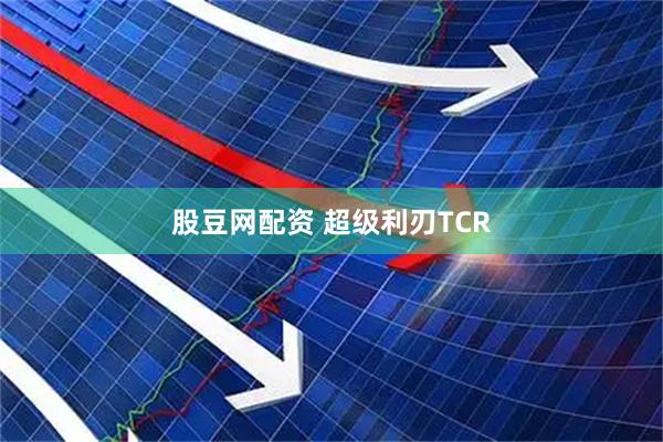股豆网配资 超级利刃TCR