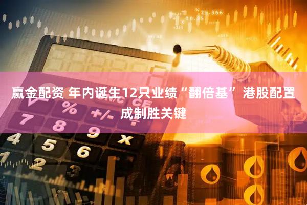 赢金配资 年内诞生12只业绩“翻倍基” 港股配置成制胜关键