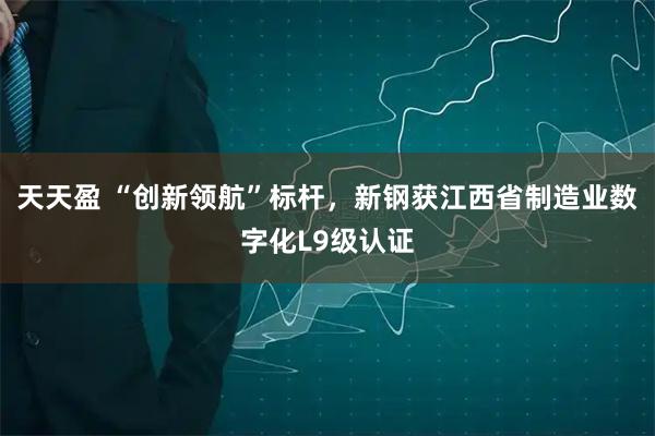 天天盈 “创新领航”标杆，新钢获江西省制造业数字化L9级认证