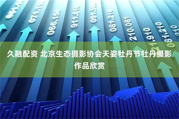 久融配资 北京生态摄影协会天姿牡丹节牡丹摄影作品欣赏
